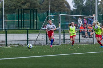Bild 247 - C-Juniorinnen HSV - Walddoerfer : Ergebnis: 9:1